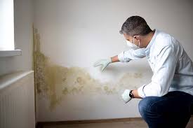 Best Residential Mold Inspection & Testing  in Wallace, NC